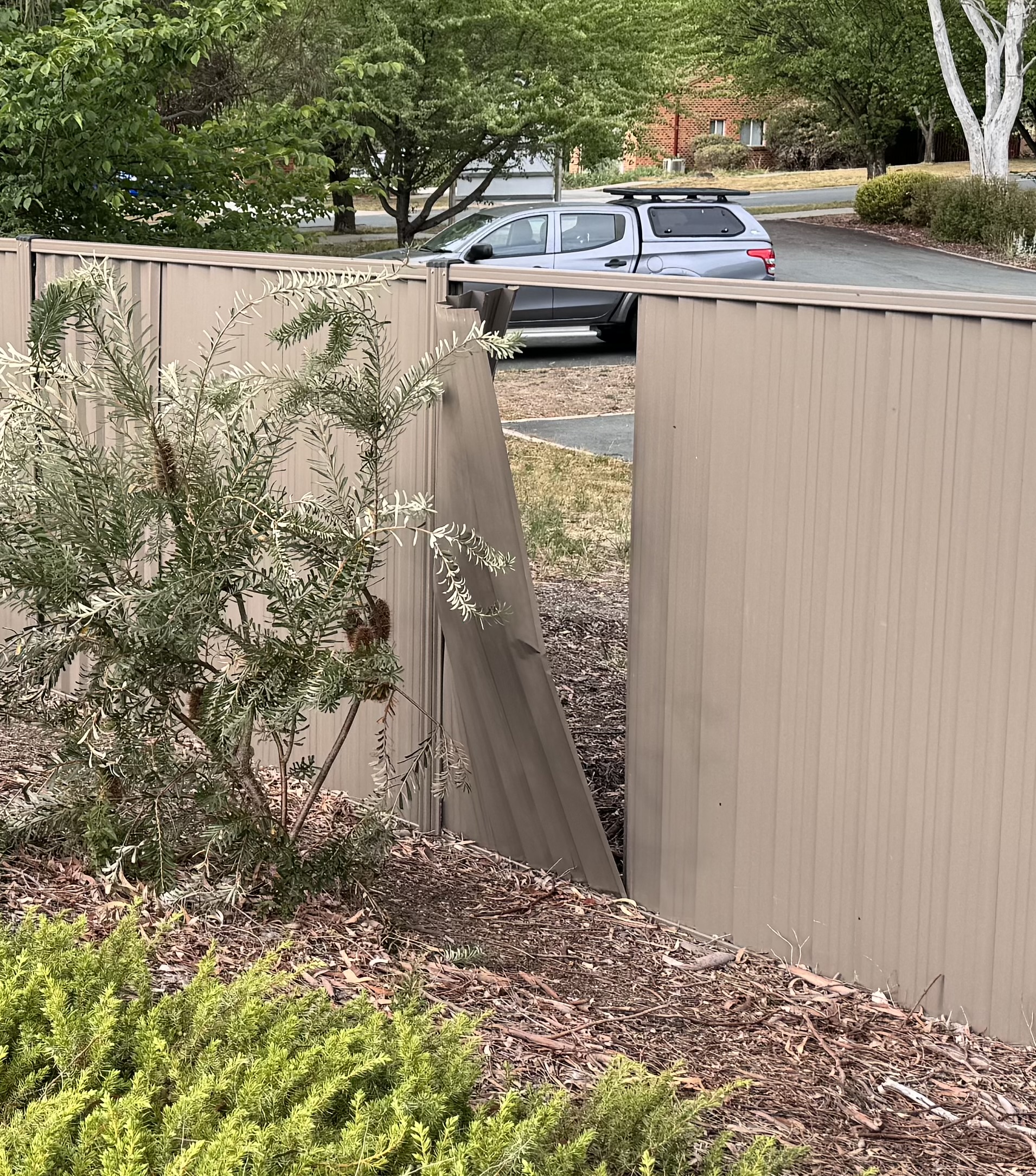 Fence repairs