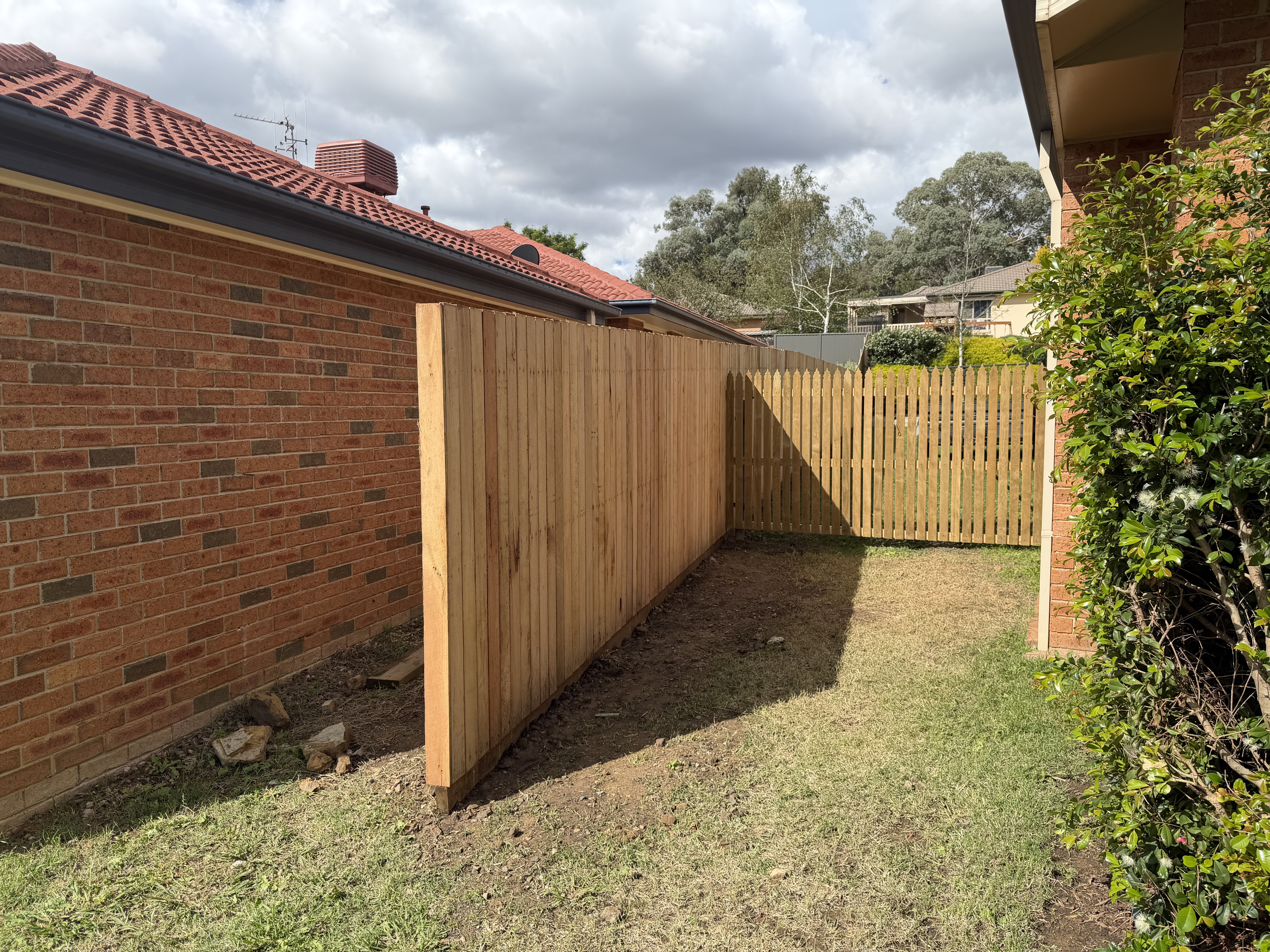 Timber fencing